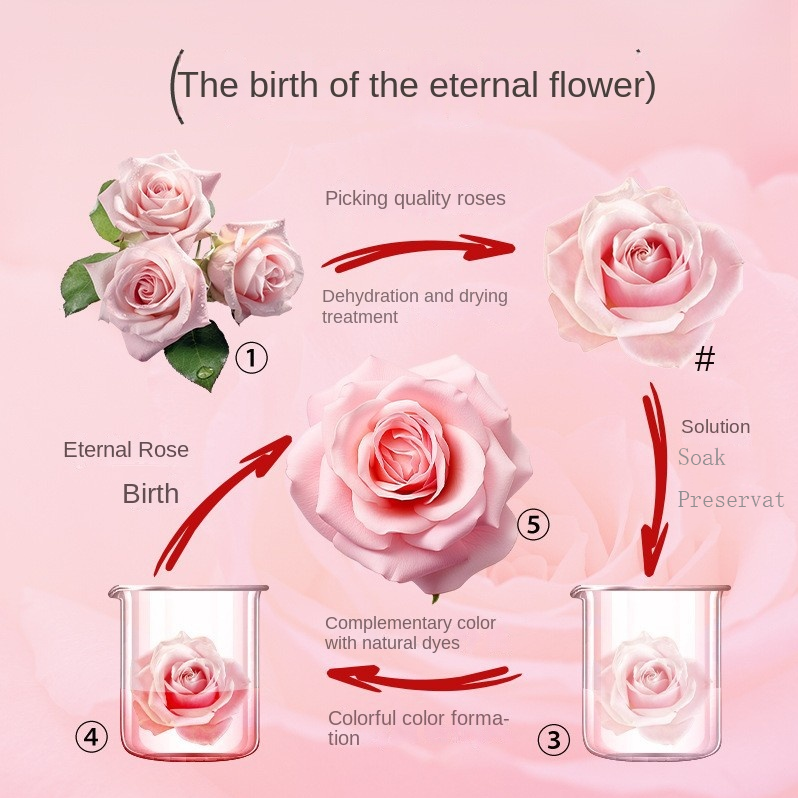 Scatola regalo rosa eterna aperta con orsetto in vista